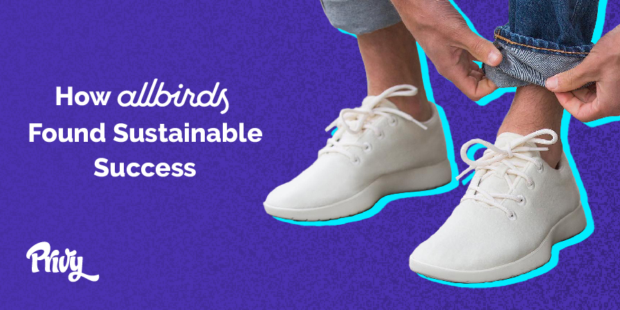 allbirds business model