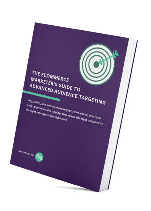 Audience Targeting Guide MockUp-1