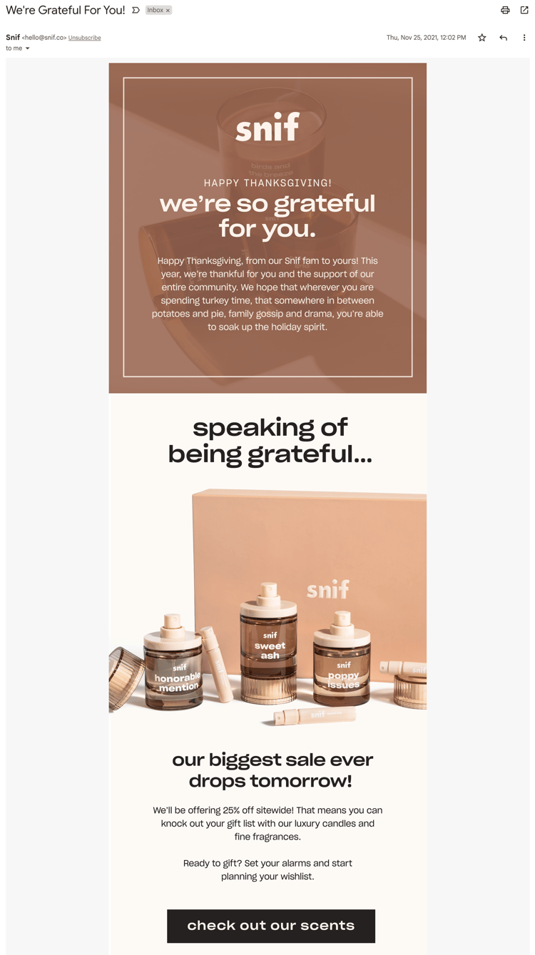 Black Friday teaser Thanksgiving email example