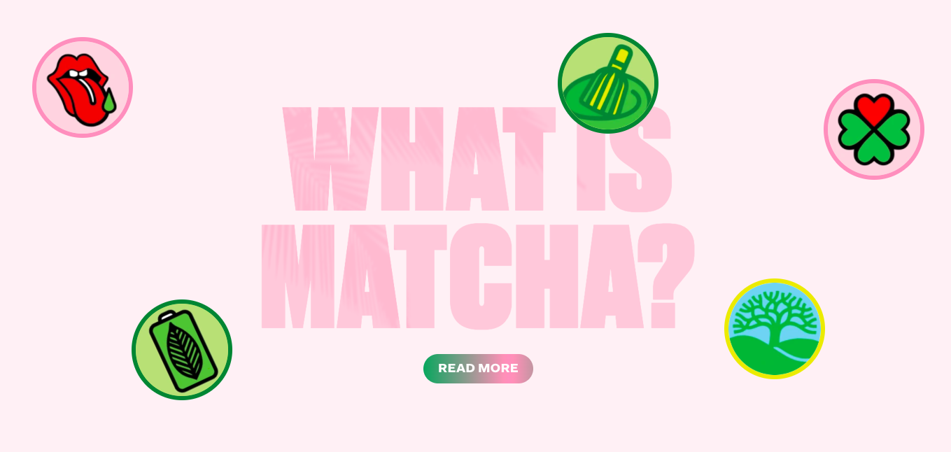 Cha Cha Matcha what is matcha