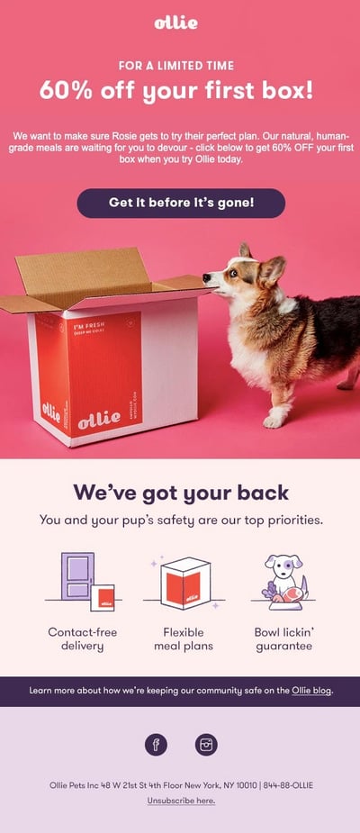 Ollie Email Marketing Example Shopify