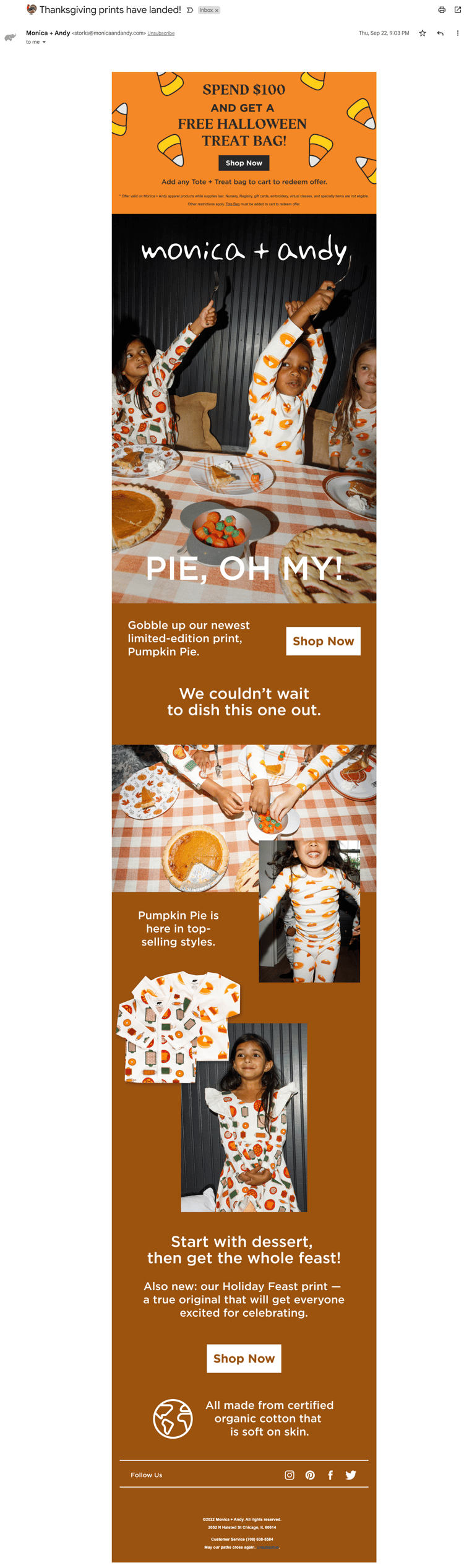 Limited edition Thanksgiving collection email example