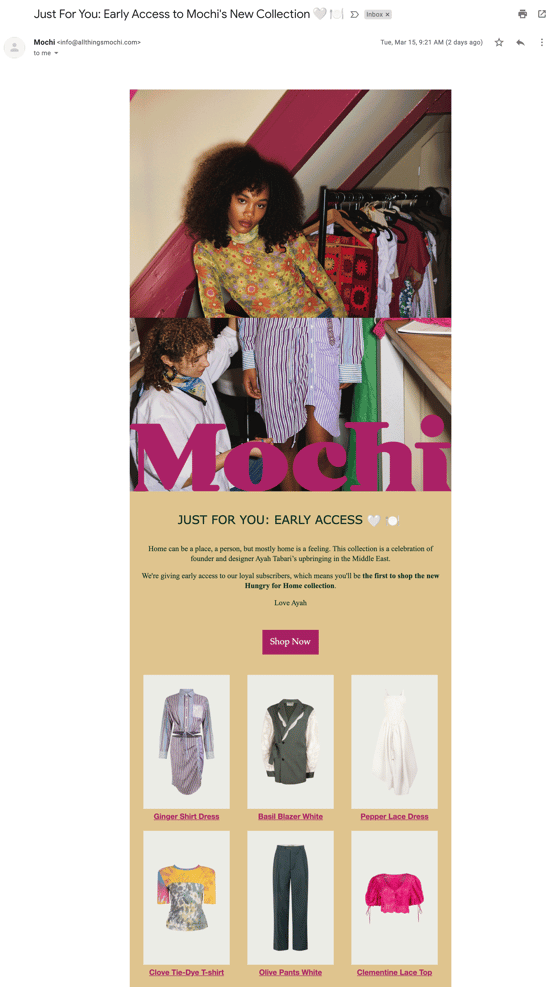 Mochi Exclusive Offer Email Example