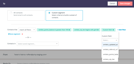 Smile Email Segments