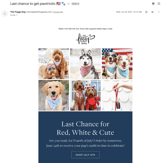 The Foggy Dog Fourth of July shipping reminder email example