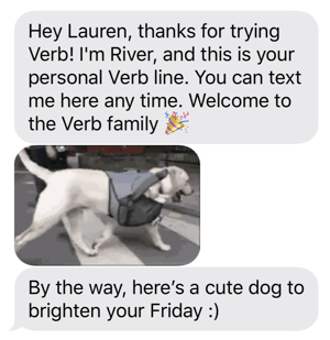 Verb SMS Dog-1