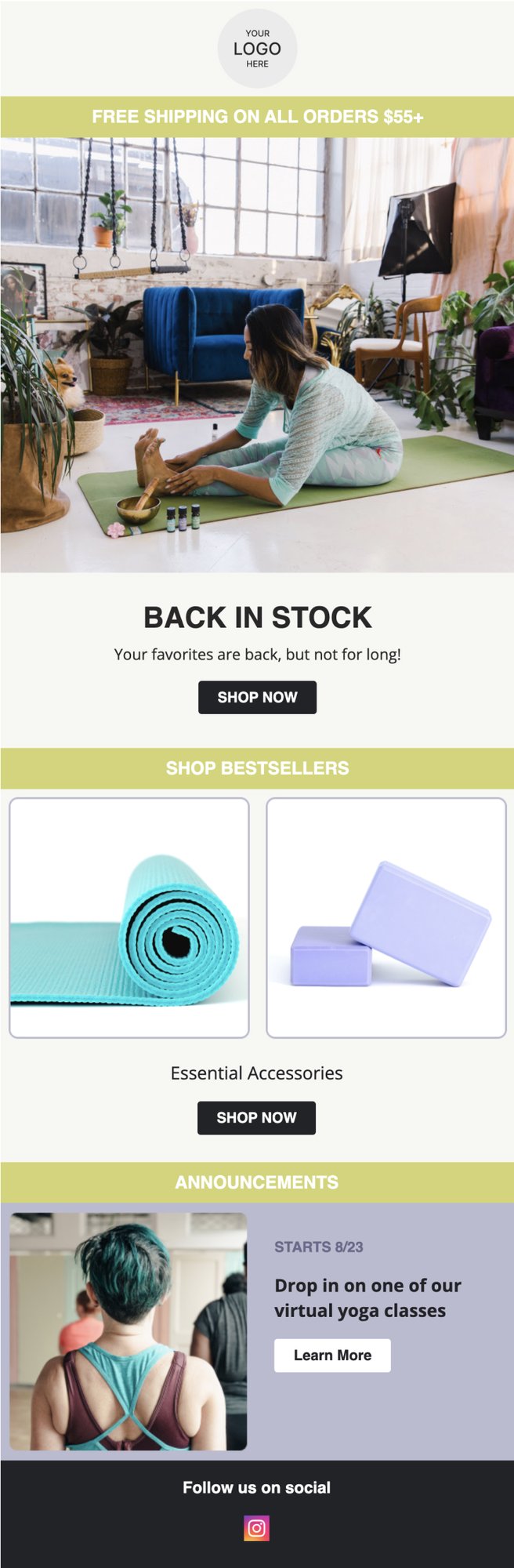 back in stock email template