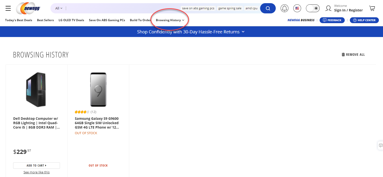 Screenshot of product links saved in the browsing history tab on Newegg