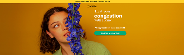 Picnic landing page example