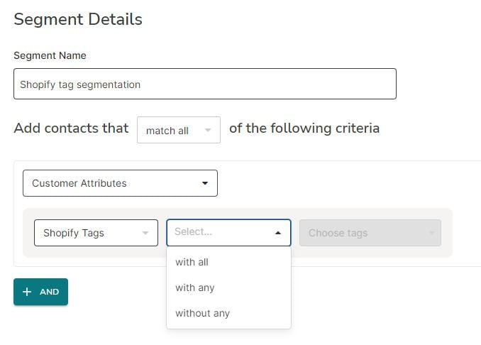 shopify tag segmentation example