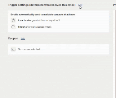 Updating your trigger settings for abandoned cart automations in Privy