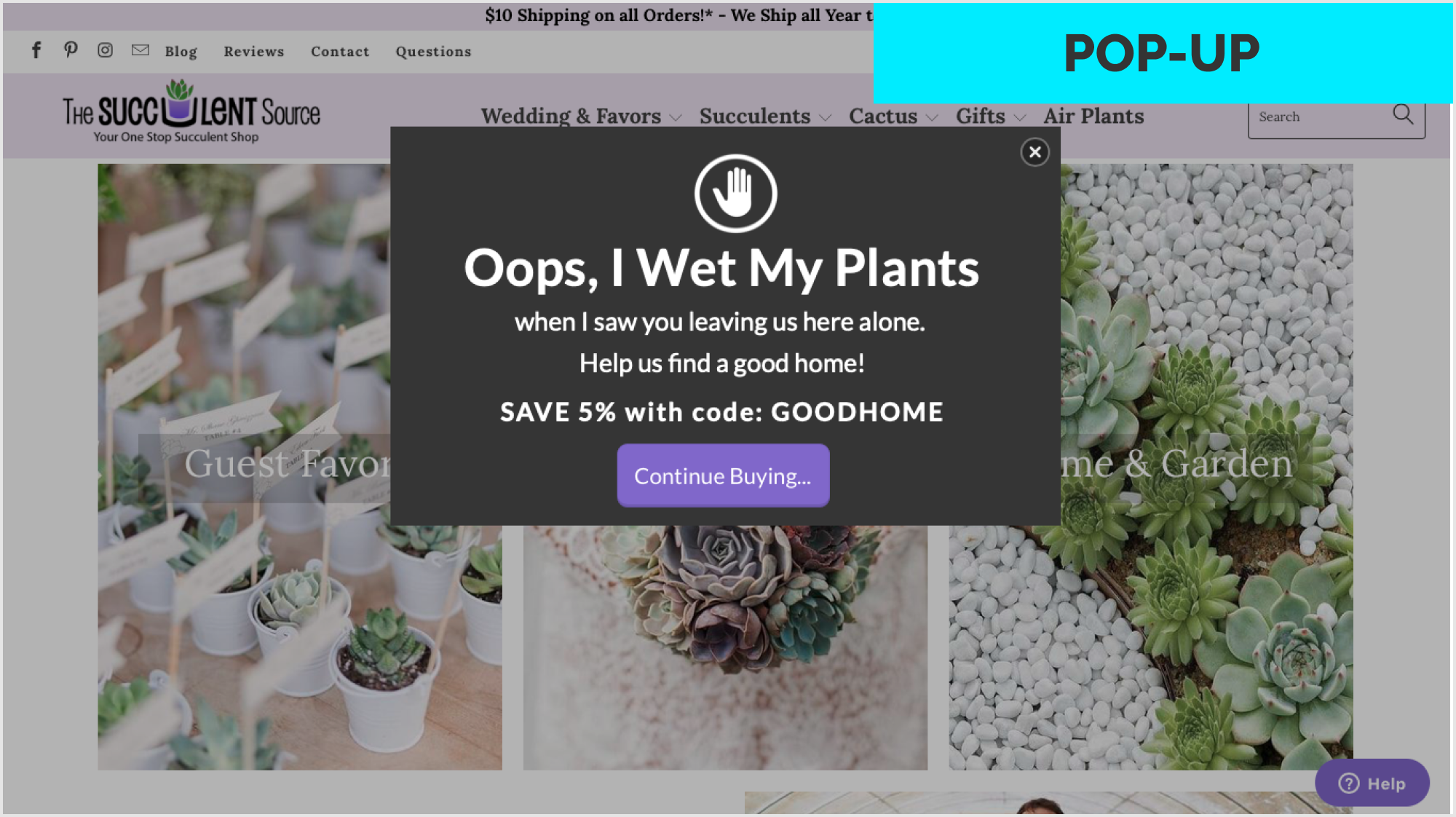 The Succulent Source