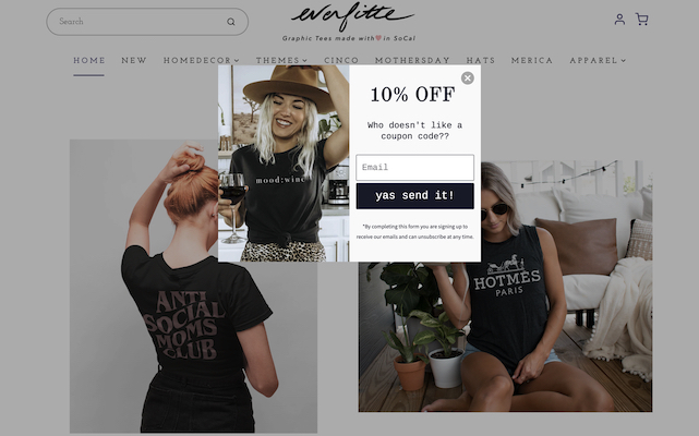 24+ Popup Examples for Online Stores