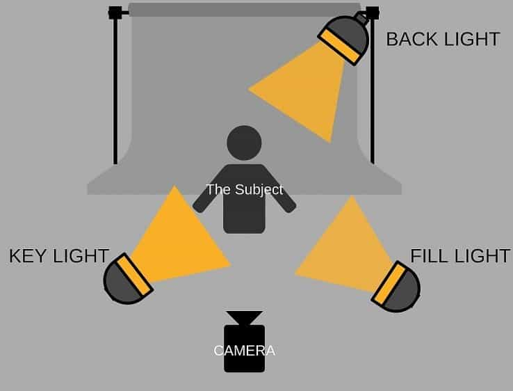 artificial lighting set up.jpg